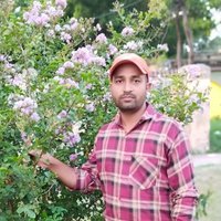 MANOJ YADAV (@manojya84660234) 's Twitter Profile