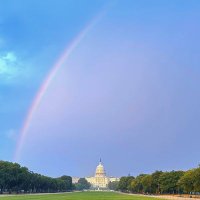 Maria 🍀🌊🟦🎇💙🕊️ Seattle (@mariahirt) 's Twitter Profile Photo