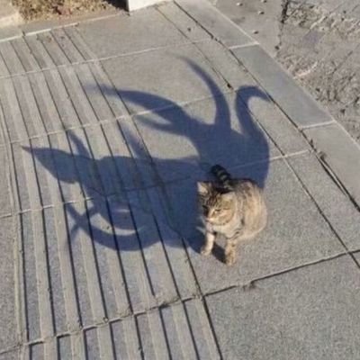 Exclamation001's profile picture. 海鸥精正在寻找它忠诚的薯条