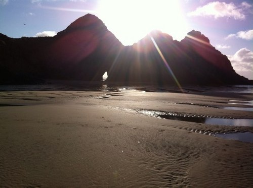 anntom's profile picture. 