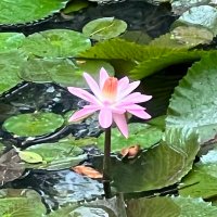 INDIA 2047 (@ism2407) 's Twitter Profile Photo