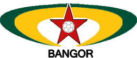 bangorhandball's profile picture. 