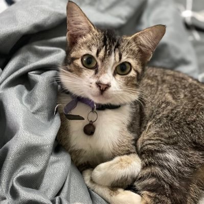 fmit999's profile picture. true love never exist ✨