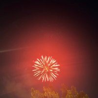 Wilbert (@wilbertp_) 's Twitter Profile Photo