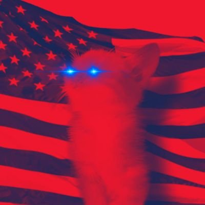 Zorawel's profile picture. cto lead @Omnicatonsol