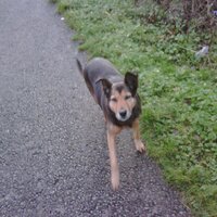 David Blackhall (@davedb32) 's Twitter Profile