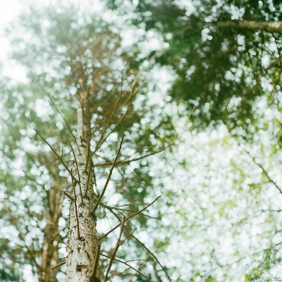 everylittletree's profile picture. 💙🩷💛💚💜🧢