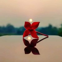 Muhammad Khalid (@mkhalid909) 's Twitter Profile