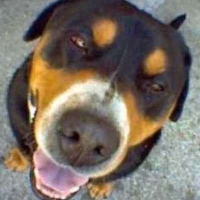nanodurobot's profile picture. 