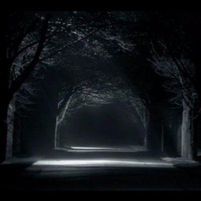 terli_balik's profile picture. 