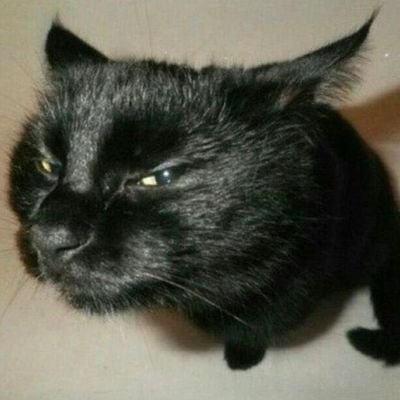 yappi0519's profile picture. 05여자 / 일상계 / 
제가 쓰는 말은 다 구라임