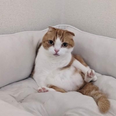 o87_mm's profile picture. 毎日の積み上げ記録用🗓 デイトラ▶︎WEB制作コース｜訓練校▶︎WEBデザイン科を受講中👩🏻‍💻