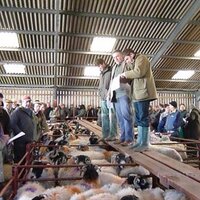 Tavy Market (@tavymarket) 's Twitter Profile