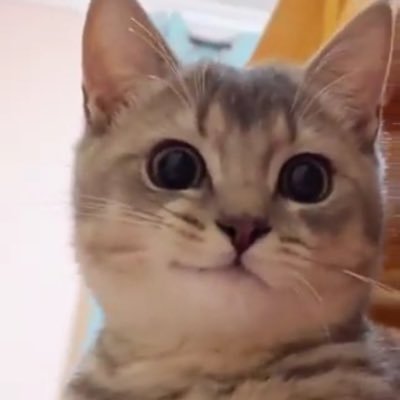 nxscrd's profile picture. 