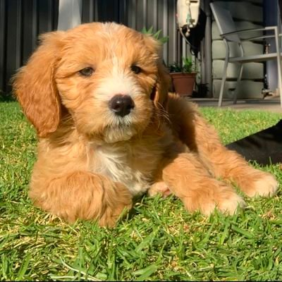GeoffR00's profile picture.