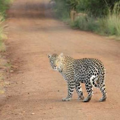 NMoorman38791's profile picture. Full-time learner, part-time trader 📚📈 | Documenting my journey through the market maze.