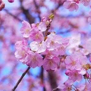会社社長/個人投資家/資産家。過去に事業に失敗し膨大な借金を負う、諦めずに再び起業し複数経営。最近はおトク情報を教えたり、自身がお金に苦労した経験から生活に苦しんでいる人を救いたいと思い、小規模ですが現金給付企画を実施中! なくなり次第終了⇒https://t.co/aQgCnLZL3u