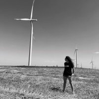 Sevda Gedik (@sevge) 's Twitter Profile