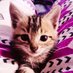 BelleN🏵️ (@its_bellen) Twitter profile photo BelleN🏵️ (@its_bellen) Twitter profile photo