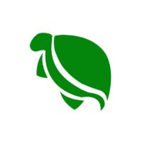 Tortoiserl (@tortoiserl) 's Twitter Profile Photo