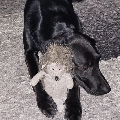 ZoeJana's profile picture. IT