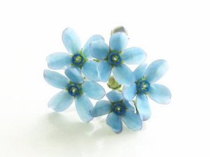 ブルースター Nanpurin Twitter