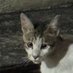 - (@li0uu0) Twitter profile photo