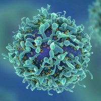 UoR BioSci (@readingbiosci) 's Twitter Profile