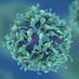 UoR BioSci (@readingbiosci) Twitter profile photo UoR BioSci (@readingbiosci) Twitter profile photo