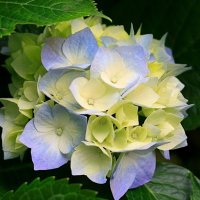 RESUL ASLAN (@raslan78656) Twitter profile photo