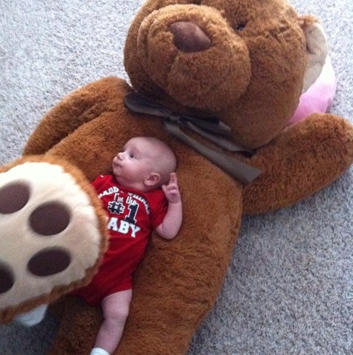 mamabear325's profile picture. 