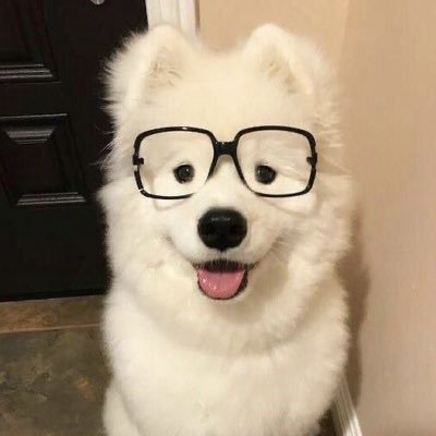 Tomaru772553's profile picture. 