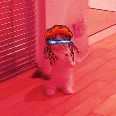 Darkmichi_onSOl's profile picture. 