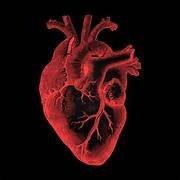 @Magnusgroup invites you to the “4th Edition of International Heart Congress (Hybrid Event)” slated on June 22-24, 2026