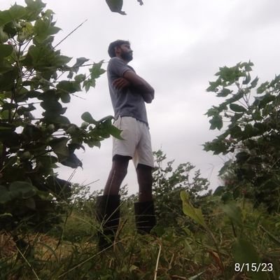 RAMDHANPRA88740's profile picture. 