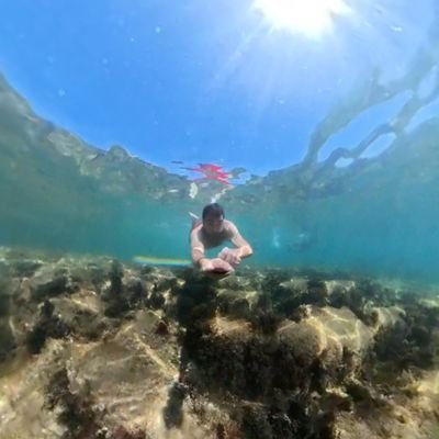 Xanse69's profile picture. 📶Informático de nacimiento y Programador📳

Amante de las nuevas tecnologias

🌍De un lugar llamado mundo.

 Reserva del 87.🔝