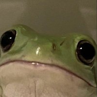 rena 🇪🇪 (@comfy_rena) 's Twitter Profile