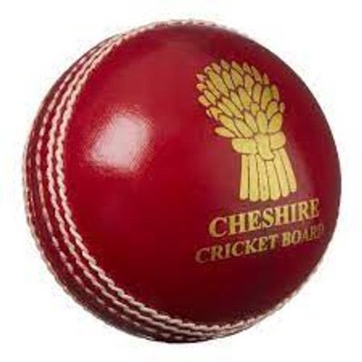Cheshire Youth Cricket Scores Profile