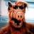 capuchachina's profile image