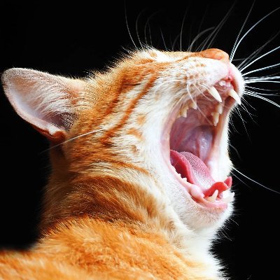 NtK0572's profile picture. 