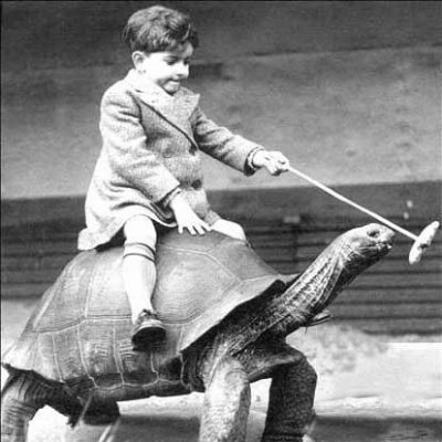 CompostbagJames's profile picture. 