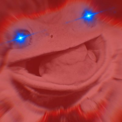 rungamerrun's profile picture. 