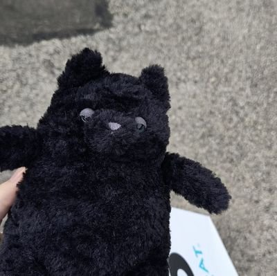 lmmacphail's profile picture. 