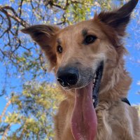 Raül Timoner (@rtimoner9) 's Twitter Profile