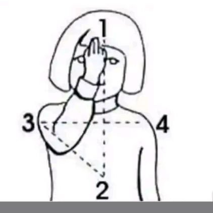 emgy00's profile picture. 