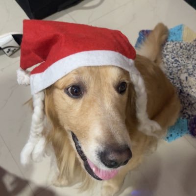 dann_paul's profile picture. Foodie! Fashionist ! Cinephile ! Madridista ! Gamer