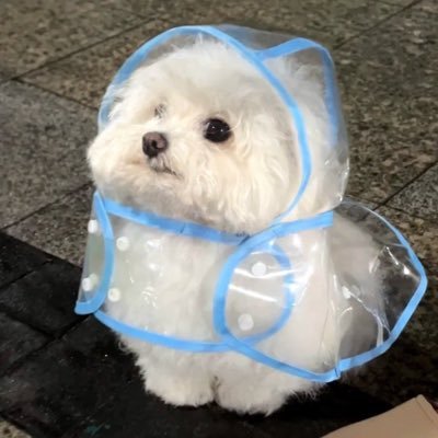 65minami_'s profile picture. INFP🎀 ツウィちゃんとあつ森🍣