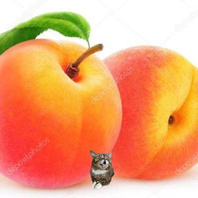 PeachyBallsss's profile picture. Stay Peachy