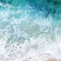 SEA (@seasowsin) 's Twitter Profile Photo SEA (@seasowsin) 's Twitter Profile Photo