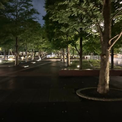 大学生さんのプロフィール画像